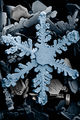 Archivo:80px-Snow crystals 2b.jpg