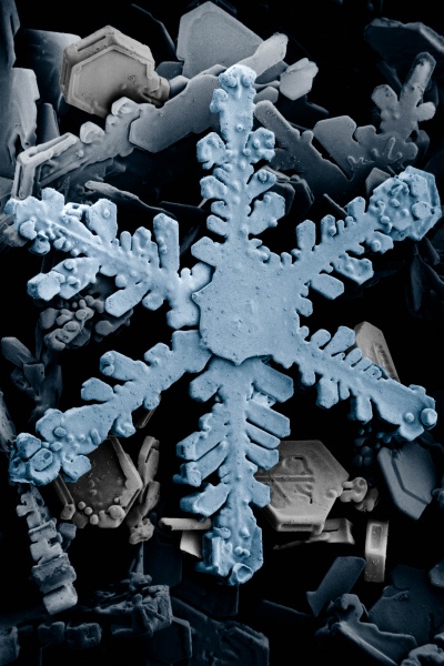 Archivo:Snow crystals 2b.jpg