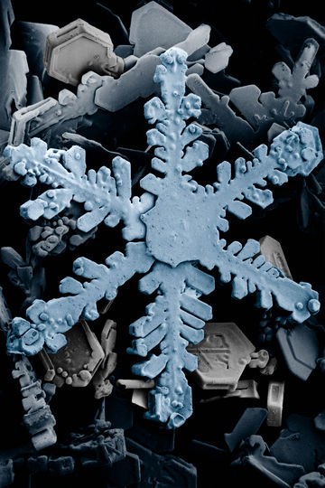 Archivo:360px-Snow crystals 2b.jpg