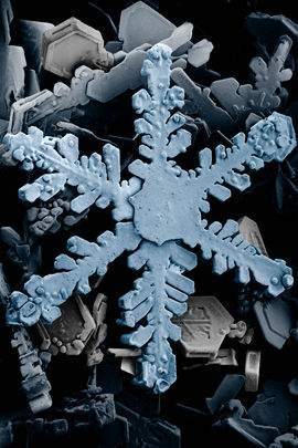 Archivo:270px-Snow crystals 2b.jpg